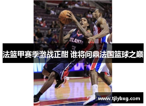 法篮甲赛季激战正酣 谁将问鼎法国篮球之巅